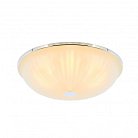 Потолочная люстра F-Promo 2753-3C Costa