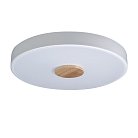 Потолочный светильник Loft It 10003/24 White Axel