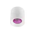 Накладной светильник Denkirs DK3090-WH+PI