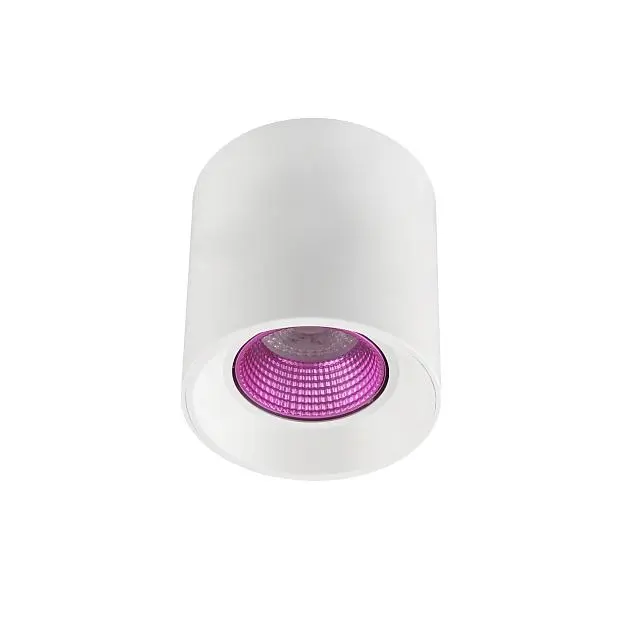 Накладной светильник Denkirs DK3090-WH+PI Накладной светильник Denkirs DK3090-WH+PI