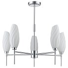 Люстра потолочная LUMION 6519/5C SHIVON
