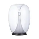 Декоративная настольная лампа Divinare 5875/09 TL-15 CAMPO