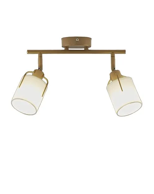 Спот Moderli V11854-2C Inari