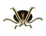 Потолочная люстра Ambrella light FL144/6 CF кофе 84W D900*200 (ПДУ РАДИО 2.4)