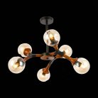 Потолочная люстра EVOLUCE SLE109402-06 RAQUEL