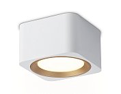 Накладной светильник Ambrella light TN70831