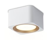 Накладной светильник Ambrella light TN70831