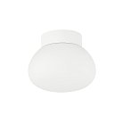 Светильник накладной влагозащищенный Donolux DL18031G9White 140 Munich
