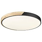 Потолочный светильник Velante 445-667-01