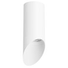 Потолочный светильник Lightstar R43636 RULLO HP16