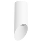 Потолочный светильник Lightstar R43636 RULLO HP16