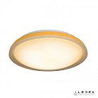 Потолочный светильник ( 3 цвета ) iLedex 24W ORANGE