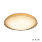 Потолочный светильник ( 3 цвета ) iLedex 24W ORANGE