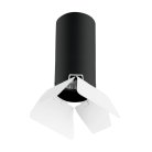 Потолочный светильник Lightstar R487436 Rullo