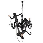 Подвесной светильник Loft IT 10314 Black Monkey