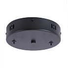 Потолочная Чаша Favourite 4591-180-2Bl Canopy