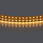 Лента теплого белого свечения 24V Lightstar 421503