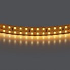 Лента теплого белого свечения 24V Lightstar 421503
