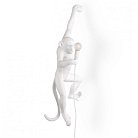 Бра Seletti Monkey Lamp Hanging Version 74282-22 ImperiumLoft