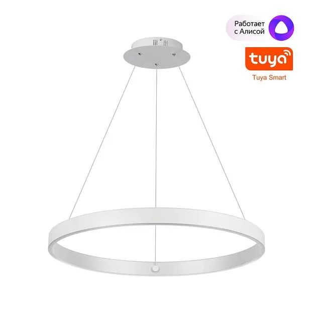 Светильник подвесной Smart Life IP20 LED 50/12W 85-265V 3000-6000К Novotech 359449 SOTTO