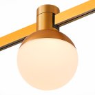 Магнитный трековый светильник ST Luce ST815.206.05 Farm