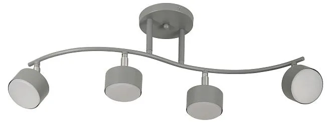 Светильник настенно-потолочный спот Rivoli 7077-704 Vivien