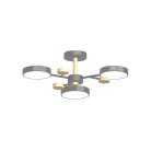 Потолочный cветильник LED4U L3203-620 GR