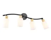 Спот Ambrella light TR8723