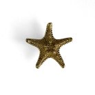 Ручка-кнопка Delight Collection MOS006 brass MOS001