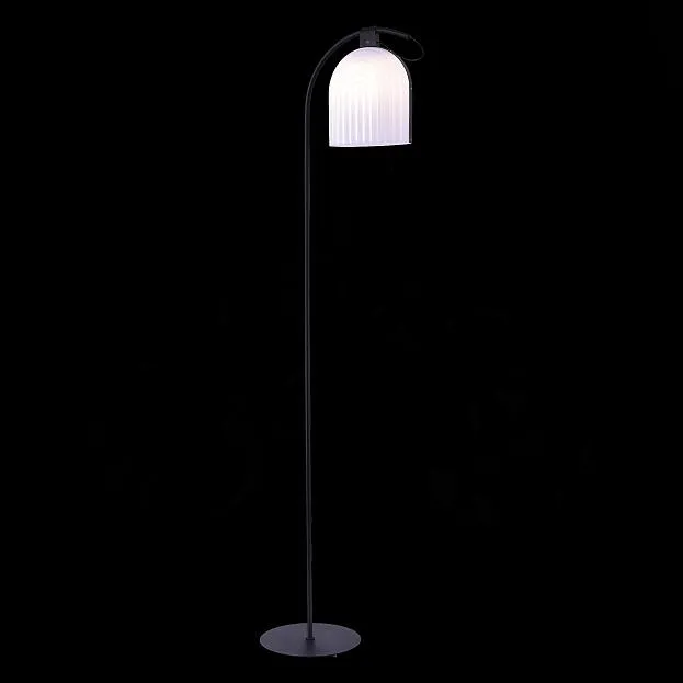 Торшер ST Luce SL1302.405.01 Aire