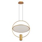 Подвесной светильник золот. поворотный Odeon Light 7028/2L ORBITE