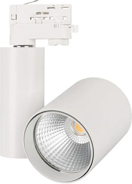 Трековый светильник Arlight 026288 LGD-SHOP-4TR FOOD Трековый светильник Arlight 026288 LGD-SHOP-4TR FOOD