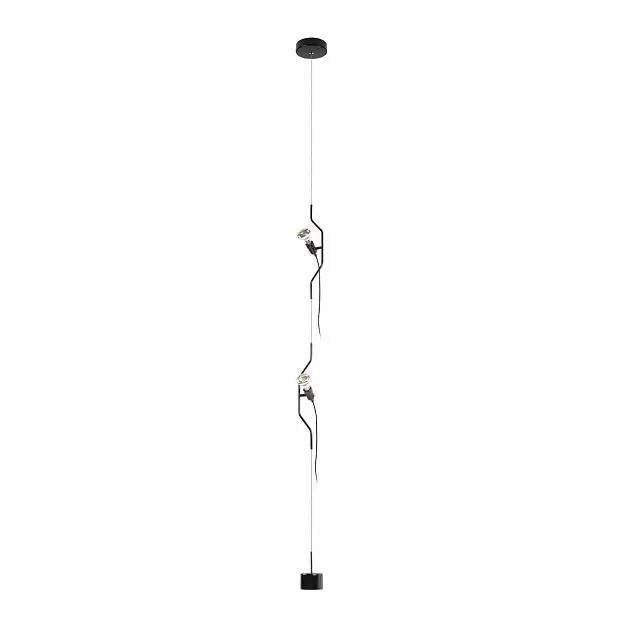 Подвесной светильник LOFT IT 10346/2 Black Parentesi
