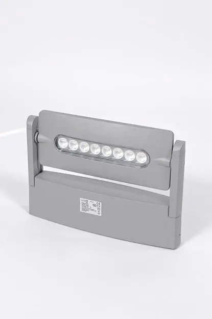 Архитектурная подсветка Oasis Light W6144-1 S Архитектурная подсветка Oasis Light W6144-1 S