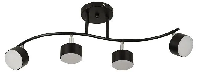 Светильник настенно-потолочный спот Rivoli 7074-704 Vanessa