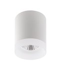 Накладной светильник Denkirs DK4010-WH