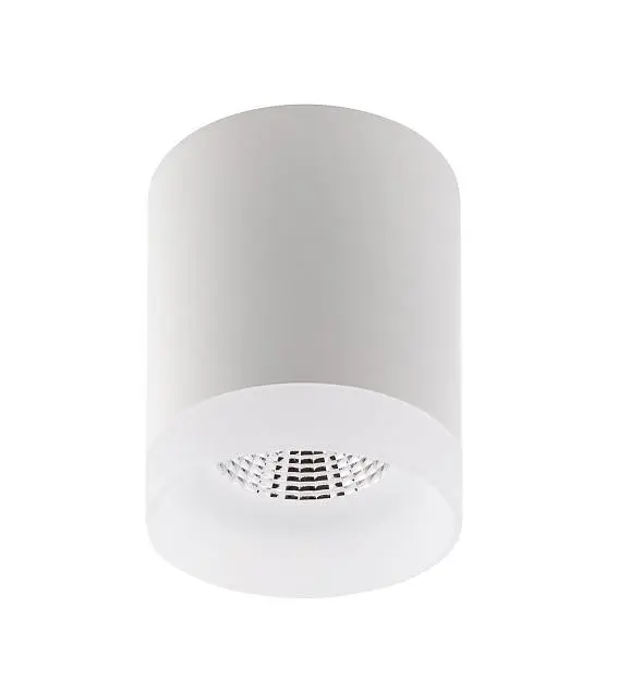 Накладной светильник Denkirs DK4010-WH Накладной светильник Denkirs DK4010-WH