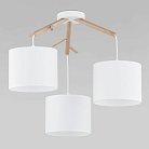 Потолочный светильник TK Lighting 6553 Albero White a059257