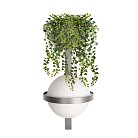 Настенный светильник Loft IT 10121W/B Dark grey Jardin