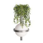 Настенный светильник Loft IT 10121W/B Dark grey Jardin