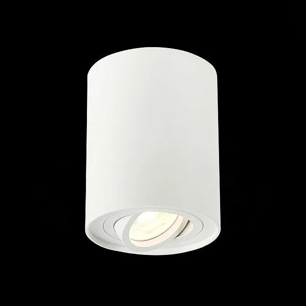 Потолочный светильник ST Luce ST108.517.01 Потолочный светильник ST Luce ST108.517.01