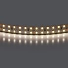 Лента белого свечения 24V Lightstar 421504