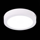 Потолочный светильник ST Luce ST112.532.12 Nubes