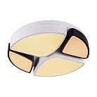 Потолочный светильник Escada 10211/4LED