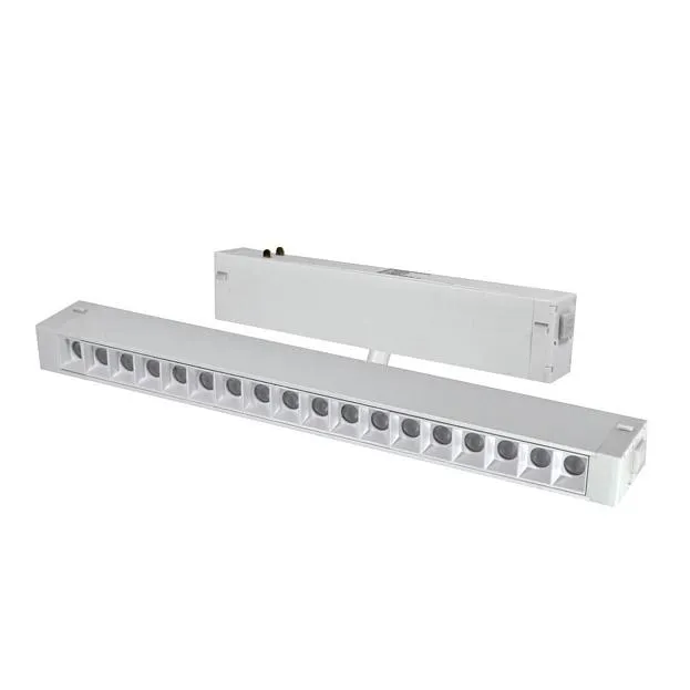 Светильник трековый Aployt APL.0202.10.18 Magnetic track 220