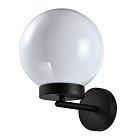 Настенный светильник Lightstar 373620 Bolla