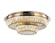 Потолочная люстра Ambrella light TR5031 FGD/CL