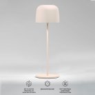 настольный светильник Elektrostandard TL70260 Bitty a069003