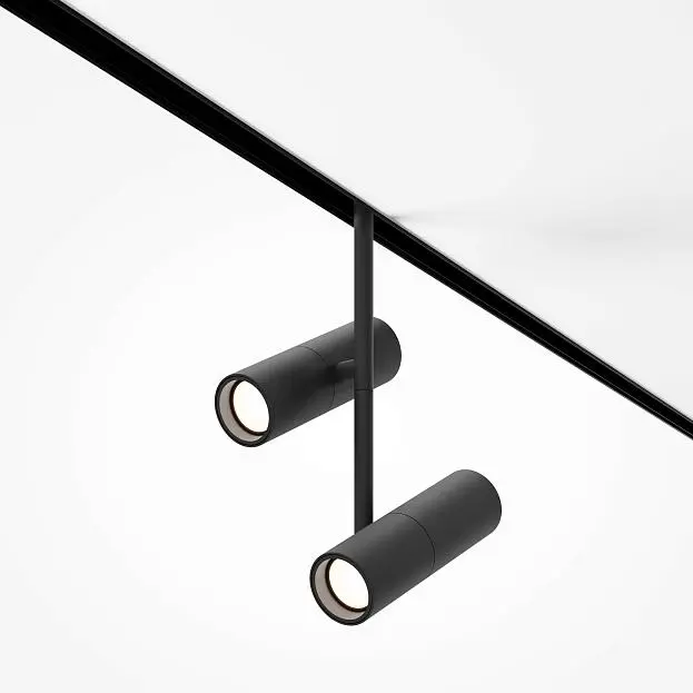 Трековый светильник Technical Maytoni TR005-2-2X12W3K-B Elti Duo