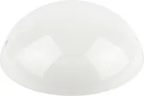 Настенно-потолочный светильник ЭРА ДБП 06-12-012